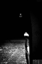 Festival Potenza Teatro | V Edizione