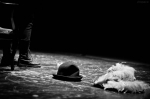 Festival Potenza Teatro | Onori e Torbidoni