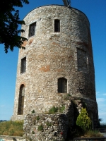 torre-guevara